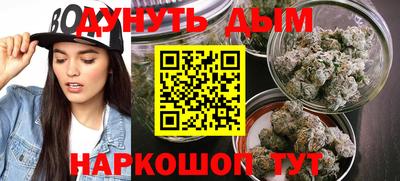 индика Кинель