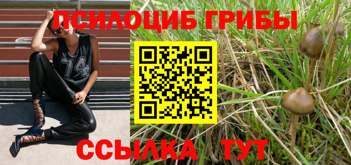 Галлюциногенные грибы MAGIC MUSHROOMS  Вход с VPN  Еманжелинск 